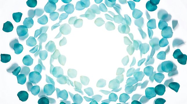 Teal rose petals in circular frame on white background, turquoise floral border with copy space, elegant blue flower petal arrangement for wedding