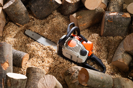 Chainsaw Cutting Firewood Logs with Wood Shavings