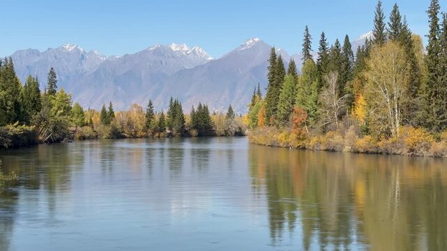 Video of beautiful autumnal landscape of calm flow of Irkut River on September day. Deciduous trees have turned yellow. First snow has fallen on mountain tops. Siberia, Buryatia, Baikal region, Tunka 