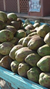 Fresh tender green coconuts piled on market cart for sale