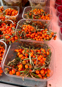 Fresh local super food: sea buckthorn berries in punnets at a Helsinki market stall