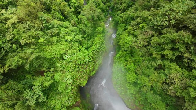 FPV drone dives through narrow misty canyon in Costa Rica as whitewater stream rushes over mossy boulders between tree ferns and dense green rainforest foliage on steep gorge walls.