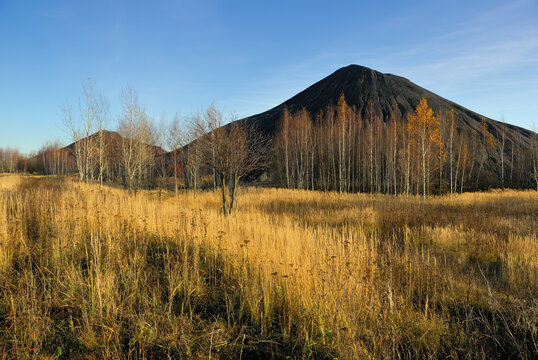 Autumn landscape. Russia