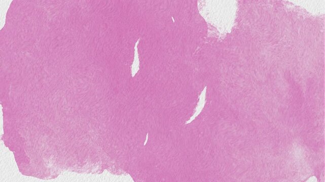 pink abstract watercolor splash reveal hand painted brush stroke background with paper texture 4k HD animation movement