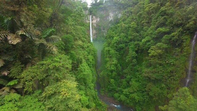 FPV drone flight diving into a narrow misty canyon in Costa Rica where a tall waterfall drops between steep cliffs covered with ferns palms and dense green tropical rainforest vegetation.