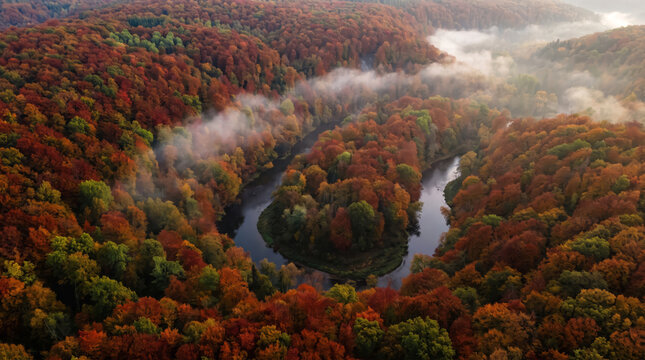 Autumn Forest with Winding River Bend and Morning Fog