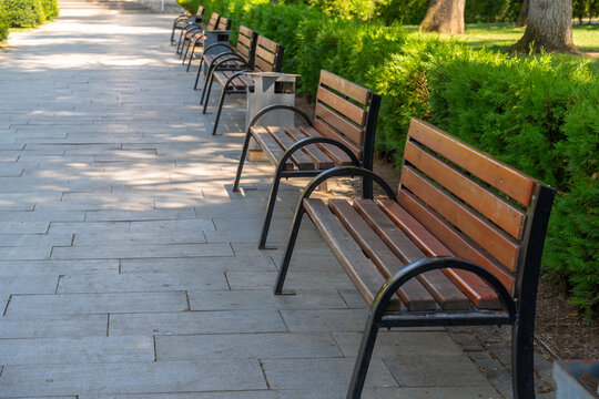 Row of empty park benches along a paved walkway with lush green bushes