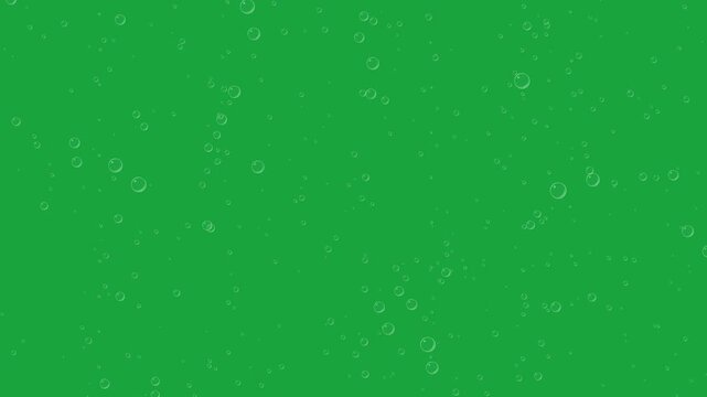 Fizz bubbles rising on green screen, transparent soda bubbles floating up in carbonated drink overlay, seamless loop
