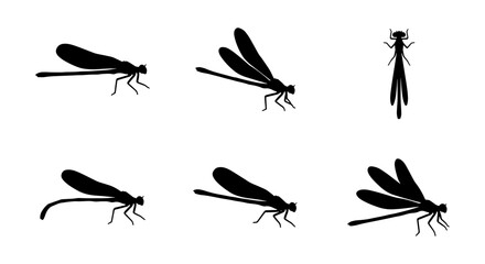 Fototapeta premium Black Silhouette Damselfly Icons, Insect Vector Set, Delicate Flying Creature Graphics, Nature Wildlife Elements for Design