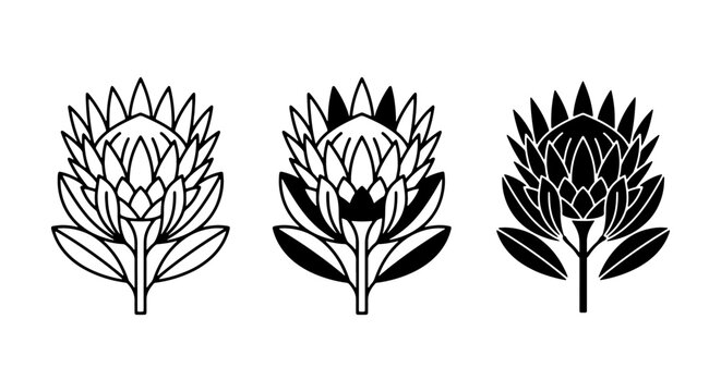 Protea Flower Icons, Botanical Vector Art, Floral Line Drawings, Elegant Nature Graphics, Black and White Flower Symbols