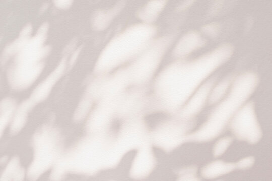 Light and shadow beige abstract blur background. Natural leaves shadows and sunshine diagonal refraction on white wall texture. Shadow overlay effect foliage mockup banner graphic layout