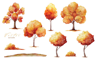 Set of Watercolor Autumn Trees Illustrations © Artnizu