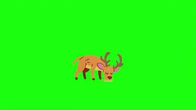 Cute cartoon deer with antlers vector illustration isolated on bright green screen background.   