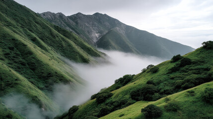 Obraz premium Lush green mountain slopes with thick fog rolling through valley, serene and tranquil landscape view