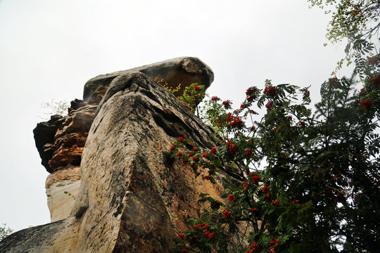 Overhanging rock with mountain ash fruits on a clear sunny day, Perm region. Nature sights of Russia.