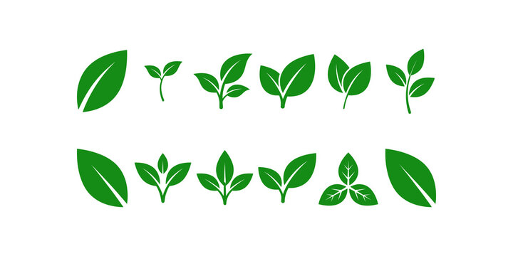 Green leaf collection flat icons