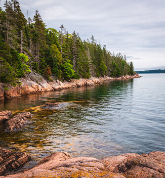 Pink Granite Rocky Shore at Tennis Preserve Deer Isle Maine