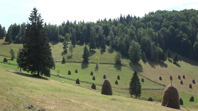 Mountains with Haystacks on Hills, Nature Landscapes, Rustic, Pastoral View