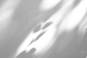 Naklejka premium Abstract natural tree branch leaves shadow on white wall background