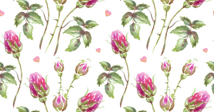 Seamless Pattern of Delicate Pink Rose Buds Green Leaves and Tiny Hearts Painted in Watercolor Style on White