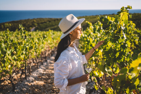 Woman holding a wine glass and touching grapevine leaves while visiting a sunny vineyard