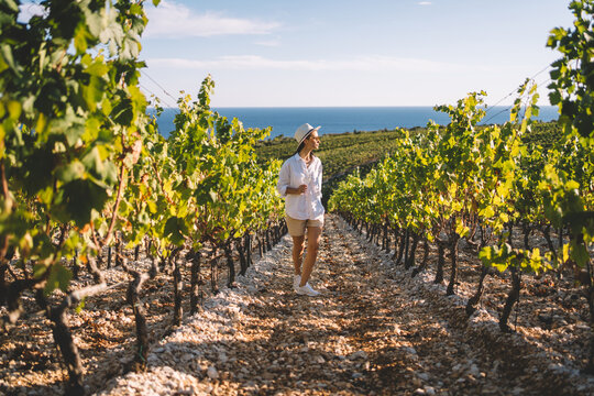 Woman walking in coastal vineyard