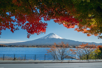 Obraz premium Peaceful kawaguchiko lake autumn japan scenery evokes serene calm as red foliage frames snowy mountain peak under clear blue sky