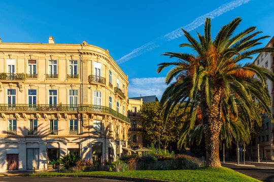 Building and palm tree in S&egrave;te, Occitanie, France