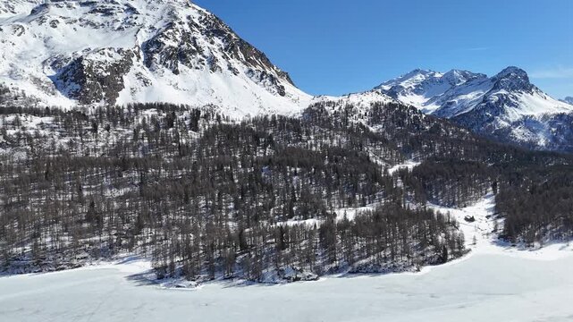 snowcapped twin peaks tower above pine forested slope frozen silsersee shoreline curves below remote chalet tucked among trees engadin valley switzerland swiss alps drone aerial winter view