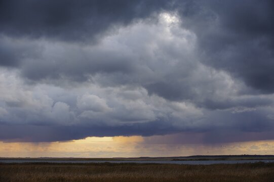 Daybreak over the lagoon area on Zingst near Pramort, Zingst, Mecklenburg-Western Pomerania, Germany