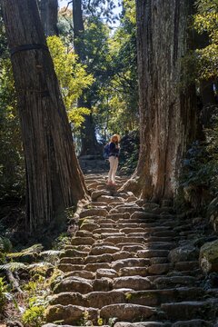 Hiker stands between big old trees, stony path in the forest to the Hirou-jinja Shinto shrine, pilgrim path Kumano Kodō, Nachisan, Wakayama, Japan