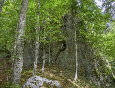 Wooden staircase leading to a tunnel entrance Grande Guerra theme trail on the battles of World War 1, Malborghetto Valbruna, Udine Province, Italy