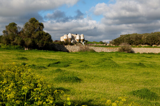 Menorca dry stone wall with green meadow and trees