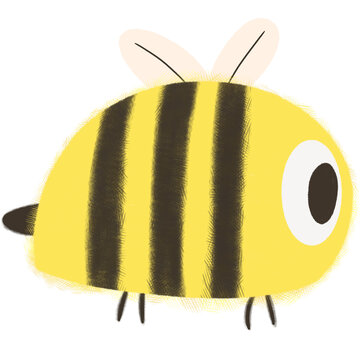 bee on white background