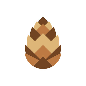 Stylized pine cone illustration