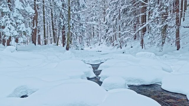Static view of a clear stream flowing through a snow covered forest, surrounded by thick snowdrifts, frost covered trees and pristine winter scenery in a peaceful natural setting.