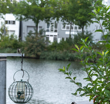 Great tit Parus major perched near bird feeder hanging above canal water Great tit bird (Parus major) perched on metal stand above a wire bird feeder against scenic canal and urban background