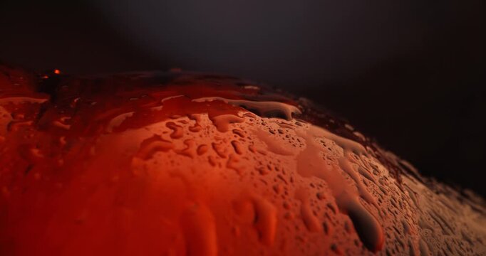 Slow motion close up of cold brown glass beer bottle with condensation against blurred blue studio background, probe view.