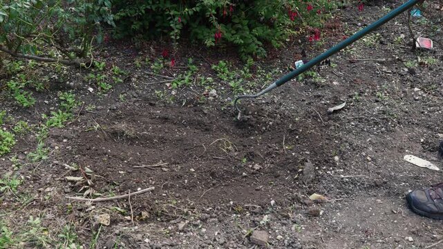 Gardening hoeing turning over soil.Ready for planting