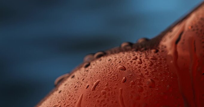 Slow motion close up of water droplets on brown beer bottle surface with blurred blue background.