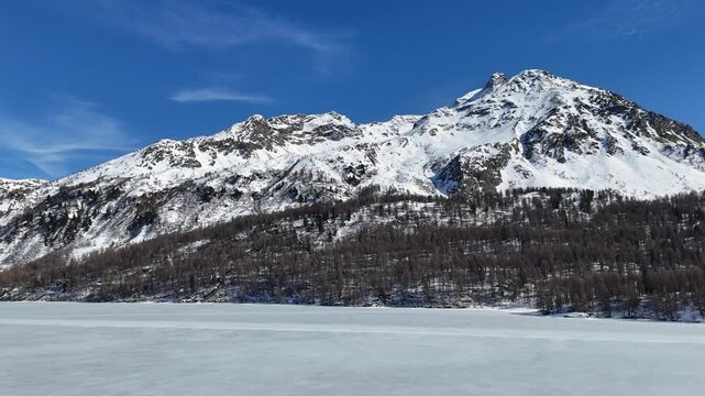 frozen silsersee ice sheet stretches toward forested ridge snowcapped peaks rise beyond larch trees line lakeshore contrails streak clear sky engadin valley switzerland drone aerial winter flight