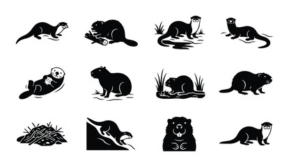 Obraz premium Aquatic mammals icon set for nature and wildlife outline, solid and color styles, white background