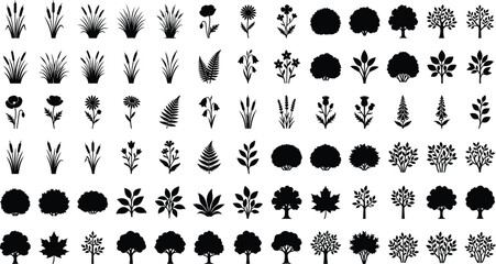 Obraz premium Botanical Plant Tree and Flower Silhouette Collection Isolated on White Background
