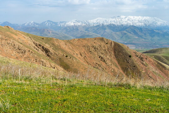 Chatkal and snowy Qurama mountain ranges, Uzbekistan, spring