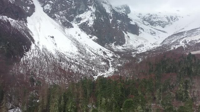 Aerial view of snowy mountains and forest in Tibet Linzhi