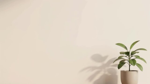 Small green plant in a beige pot against a minimalist beige wall with subtle light shadow moving.