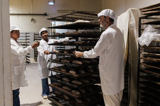 Bakery workers checking fresh bread preparation in food production facility