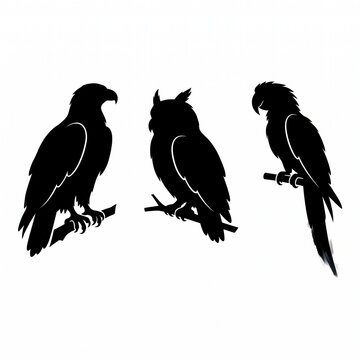 Minimalist collection of three black bird silhouettes featuring a majestic eagle, a wise nocturnal horned owl, and an exotic tropical parrot perched on branches for clean vector graphic design.