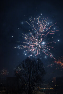 Colorful fireworks exploding in the dark night sky above trees.