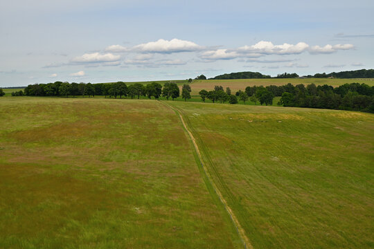 Dirt path and tree avenue among green meadows in Hermanice, Czechia